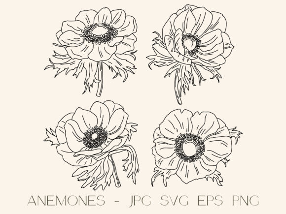 Anemones Graphic Illustration: A Designer’s Perspective