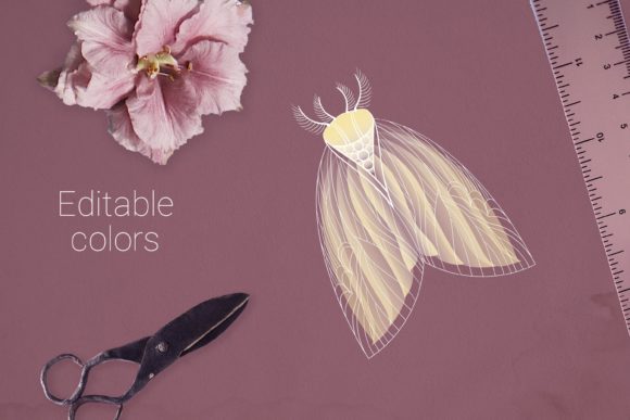 Moth Vector Drawing: A Designer’s Practical Take for Real Projects
