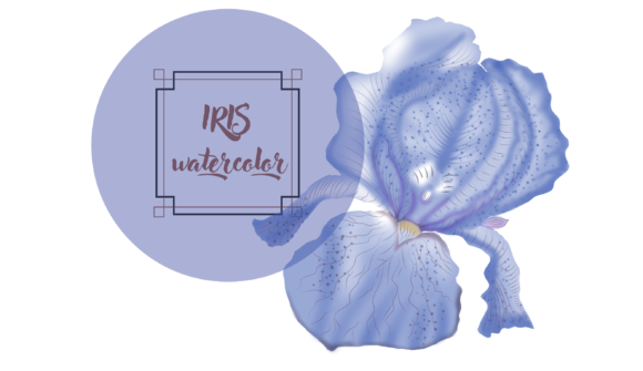 Watercolor Flower Element Iris: A Designer’s Real-World Review